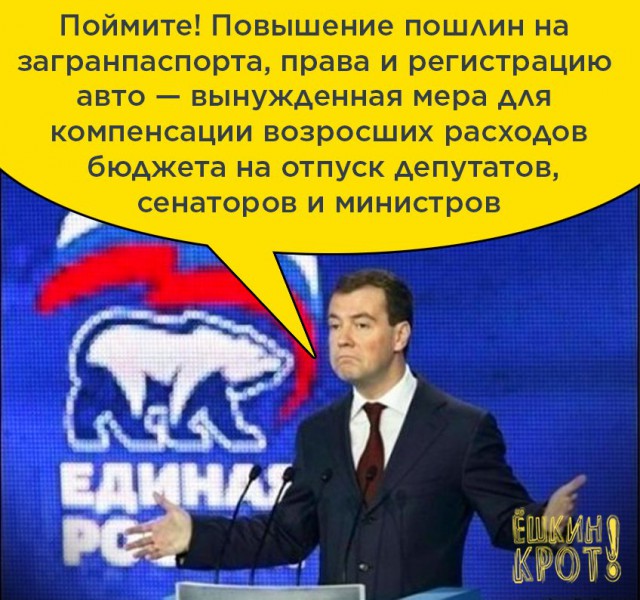 Какие законы начнут действовать в России с августа