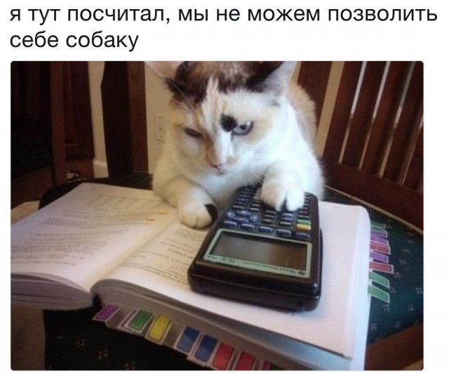Прикольные картинки
