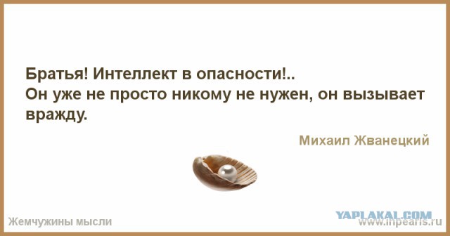 Жена Навального назвала «трусом» главу Росгвардии