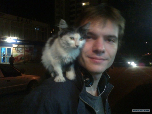Накорми бездомного кота
