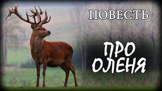 Хочу чужую женщину!