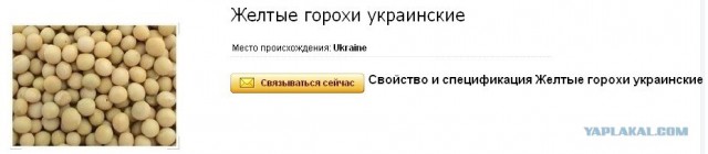 Трудности перевода
