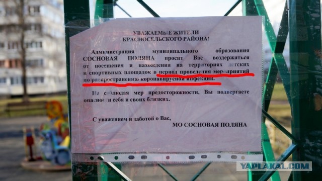 Забрали вместе с собакой и женой: Максим Леонидов из «Секрета» рассказал о задержании в Петербурге.