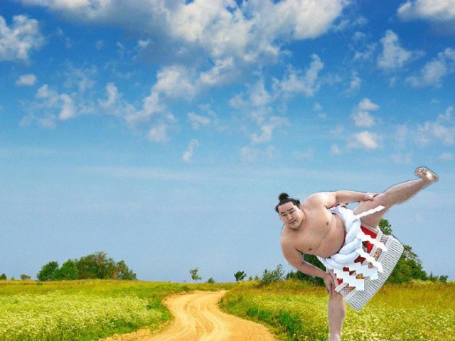 Фотожаба: Такое разное сумо...