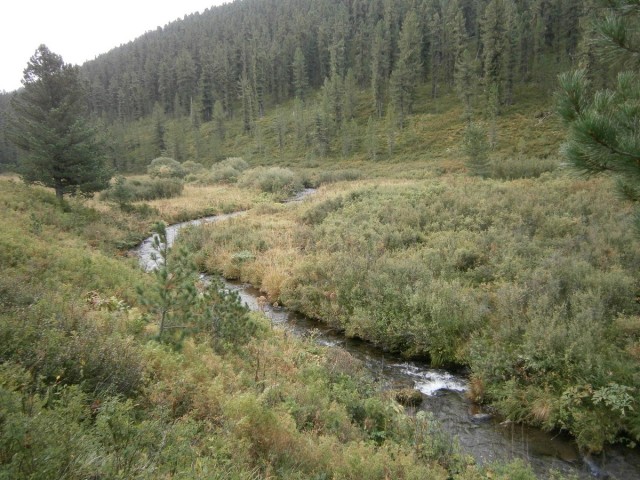 На конягах по Алтаю