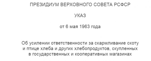 Хлеб всему голова. Одной фото пост