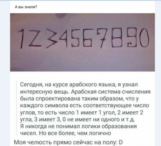 Картинки и мемы для настроения 019