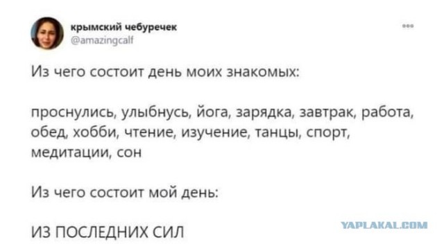 Кретинизмы из KV и KO 27.01.21