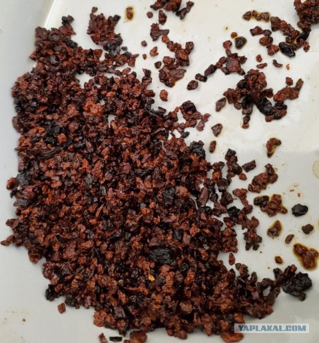 Чага - берёзовый гриб