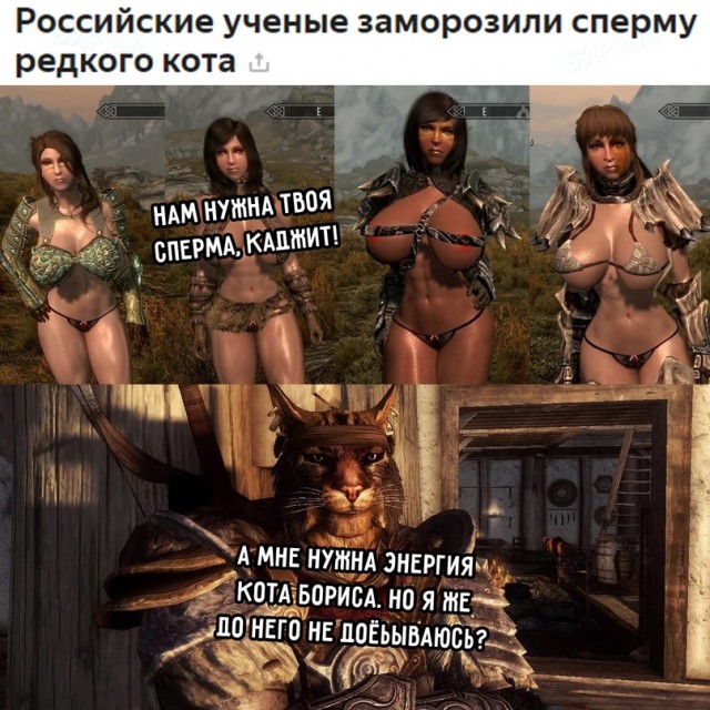 Весёлый полтишок 27.05