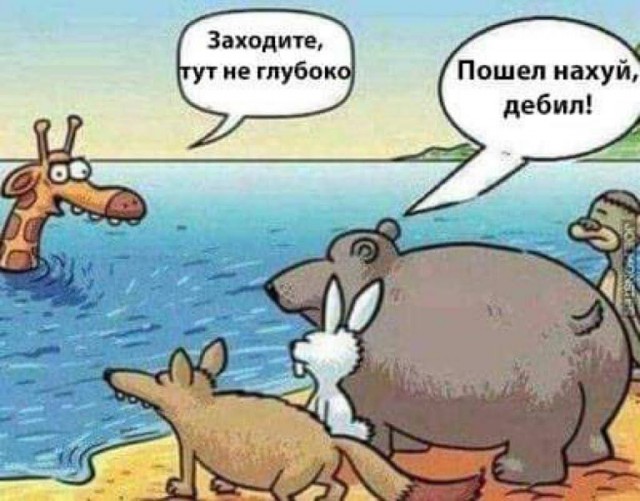 Всяческие картинки 16.06.2021