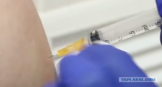Мэр Краснодара "привился без иголки