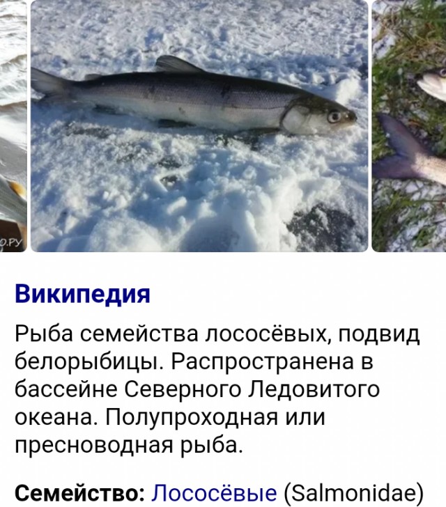 Почему мужчина не хочет официальный брак