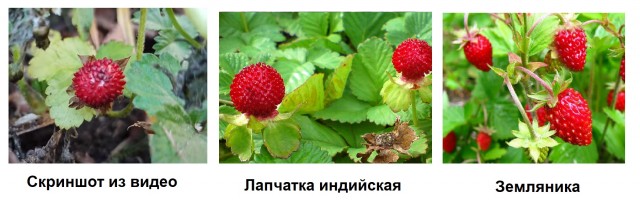 Такое возможно?!