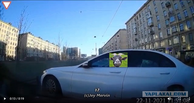 Поймал дурачка