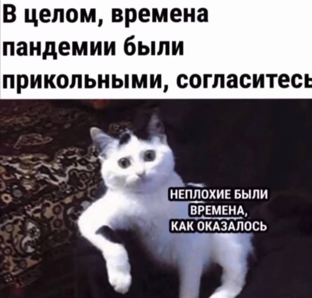 Так себе картинки 27.02.22