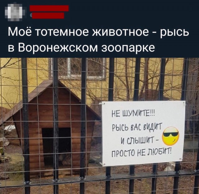 Так себе картинки 09.05.22