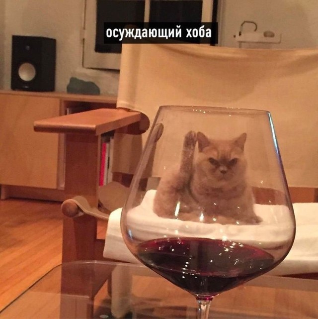 Виды хоба