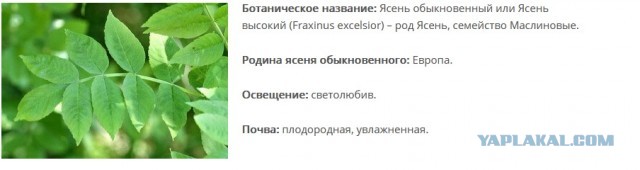 Картинки с надписями и всякие жизненные фразы