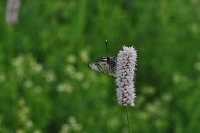 Поездка в Екатеринбург