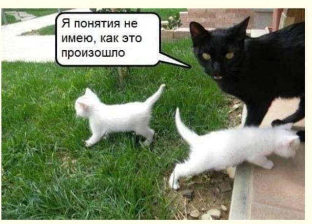 Картинки и мемы. Выходные близко...