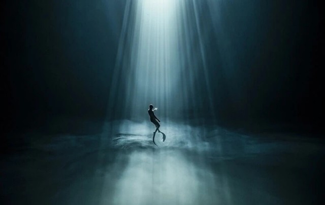 Победители фотоконкурса Ocean Photographer of the Year 2022
