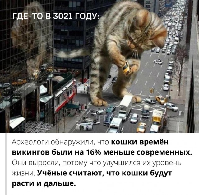 Юмор в картинках и без 21.11.2022