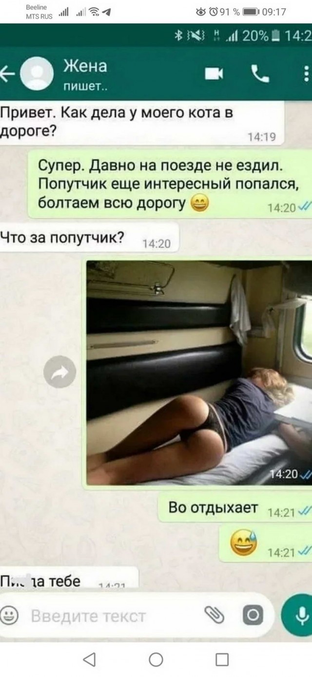 Картинки и мемы, всем хороших выходных