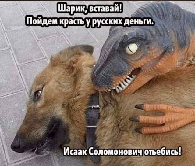 Победная поступь идиотизма по планете – том 17