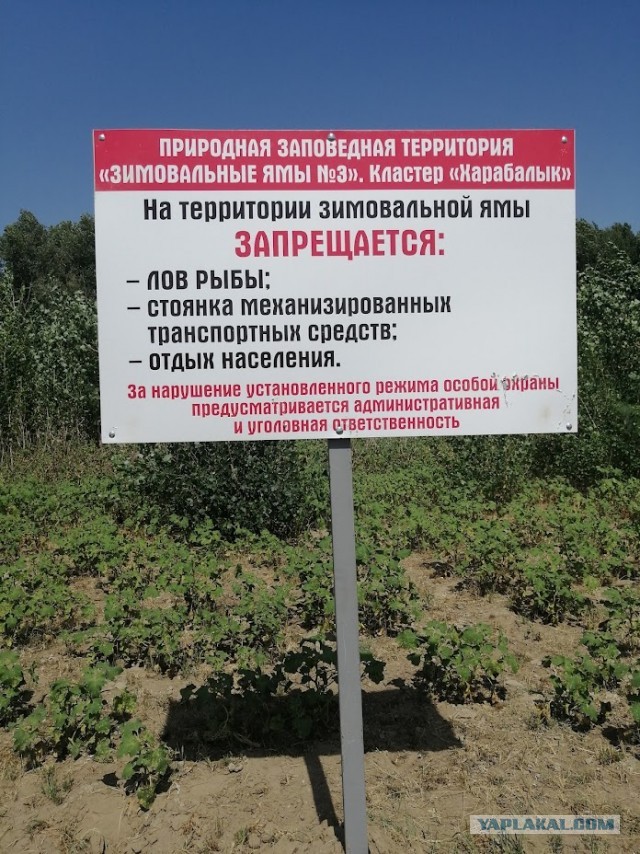 Кто сколько барахла тащит на рыбалку в Астрахань?