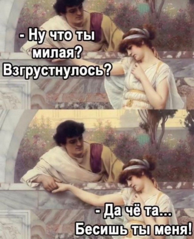 Весёлый полтишок 04.08.23