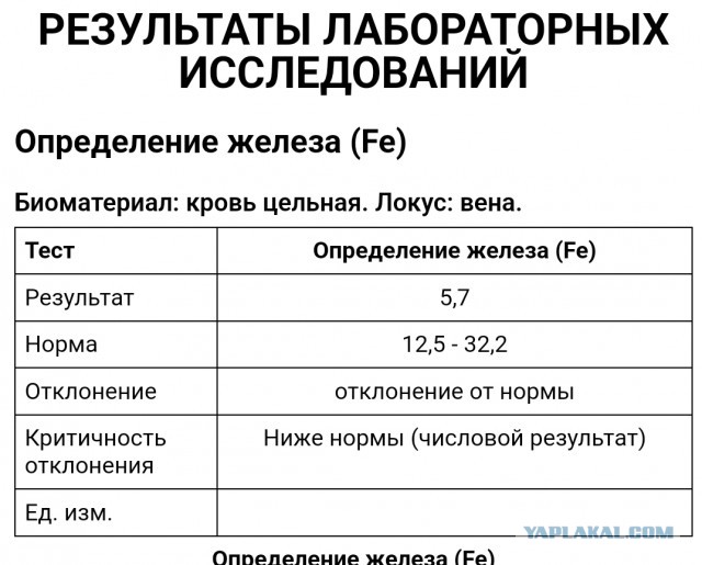 Демократия в опасности!