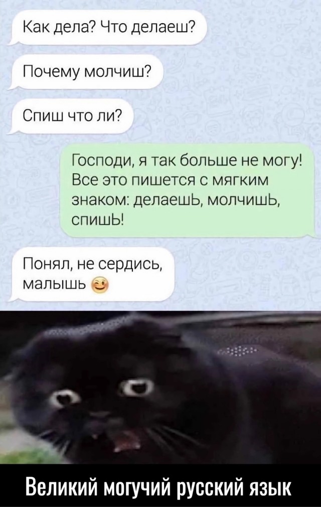 Так себе картинки 21.08.23