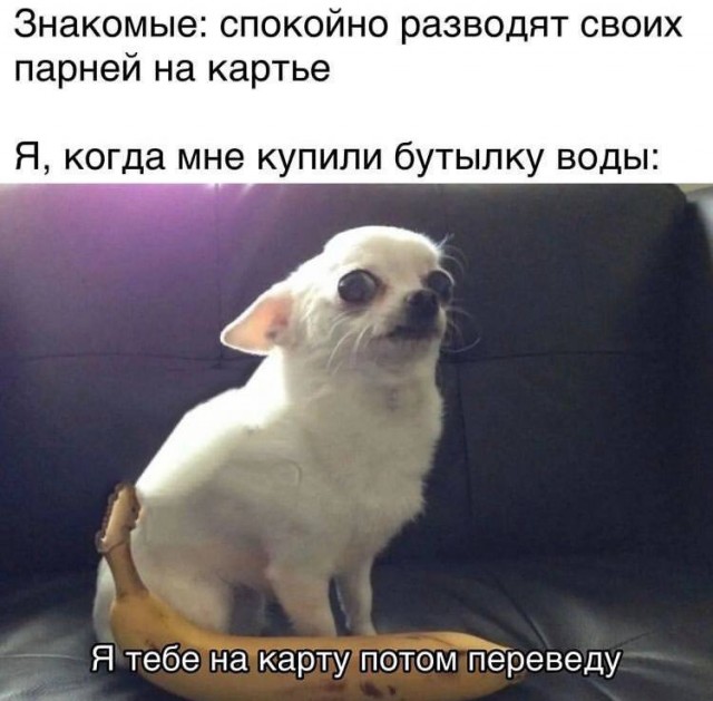Отряд быстрого деградирования