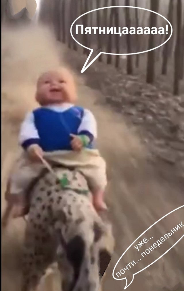 Ну с пятницей всех, сегодня попалось вот такое пиво