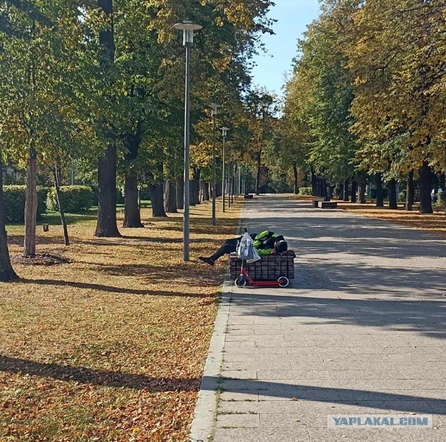 Весёлый полтишок 01.10.23