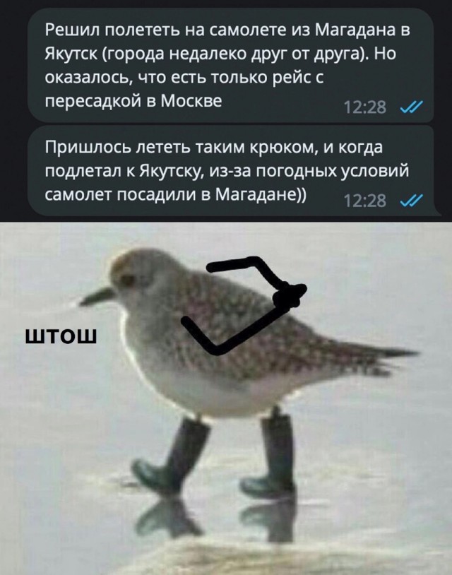 Так себе картинки 09.10.23