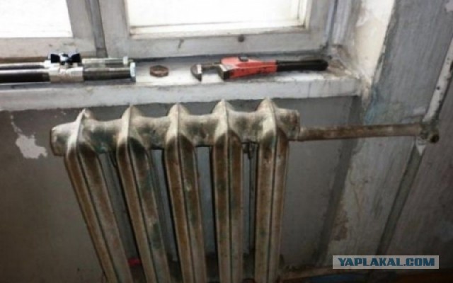Бойцовые старухи