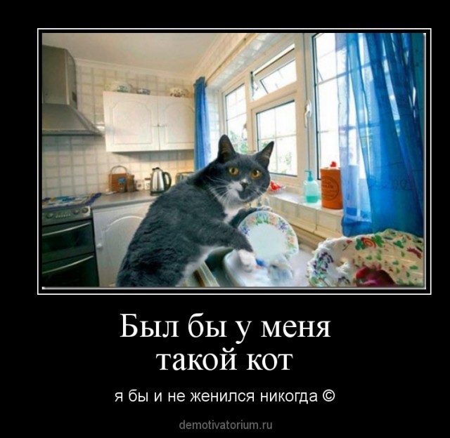 Ленивый парень нашёл себе девушку с помощью ChatGPT