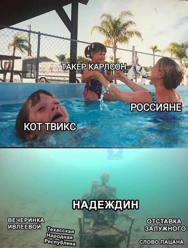 Весёлый полтишок 13.02.24