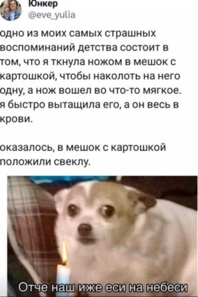 Нуштош 15.05.2024