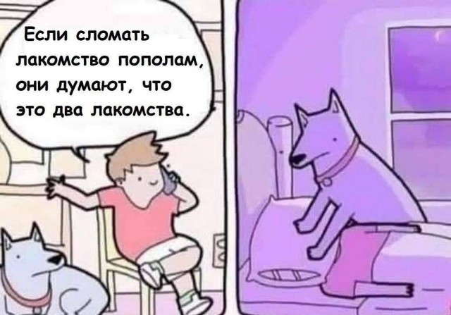 Нуштош 13.06.2024