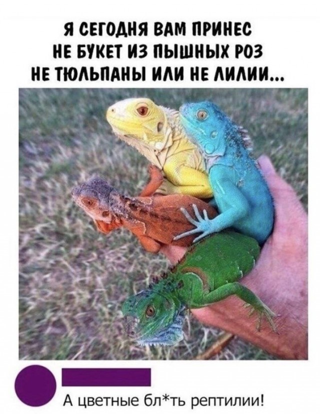 Сборник бабаянов или неожиданная помойка от Неждалигады