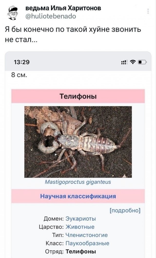 Так себе картинки 13.07.24