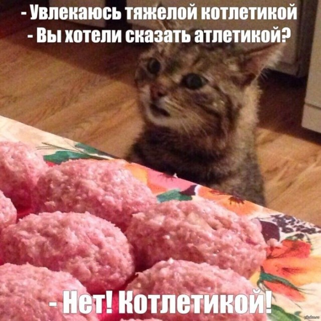 Немного забавных картинок 27.07.24