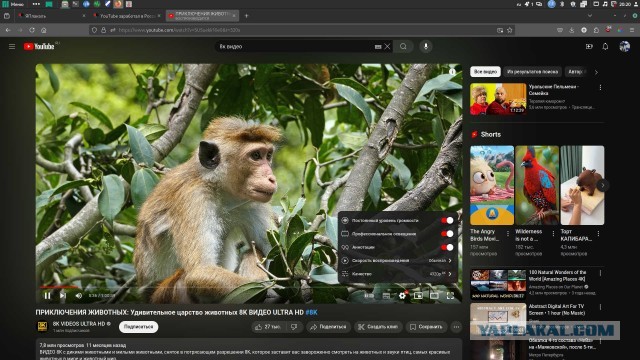 YouTube заработал в России без существенных неполадок