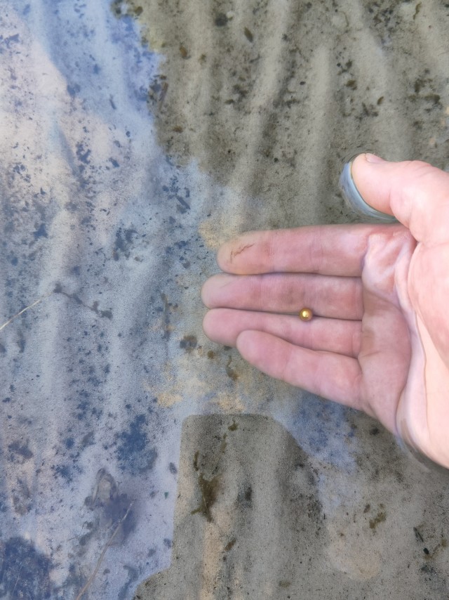 Осень на озёрах 2