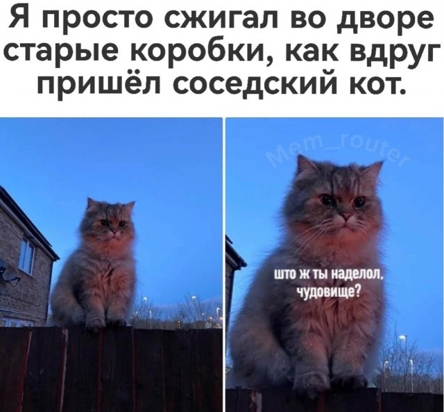 Быстрая деградация