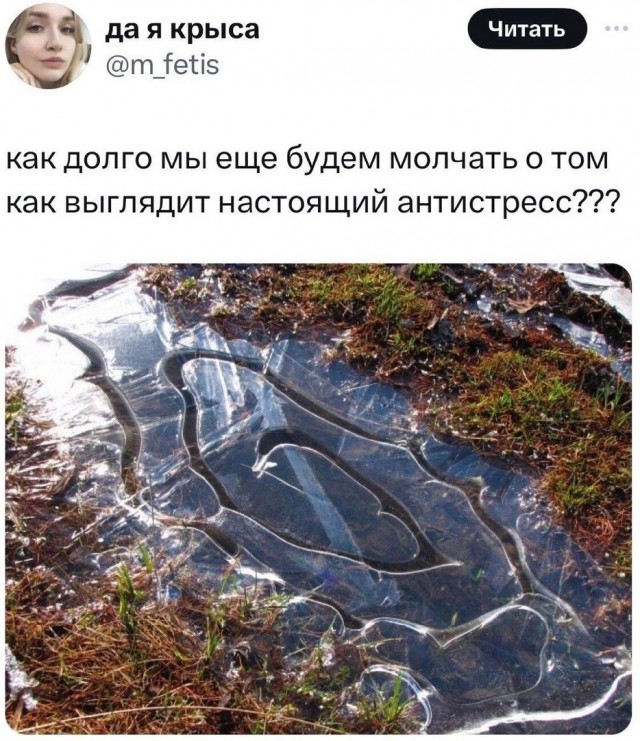 Так себе картинки 23.11.24