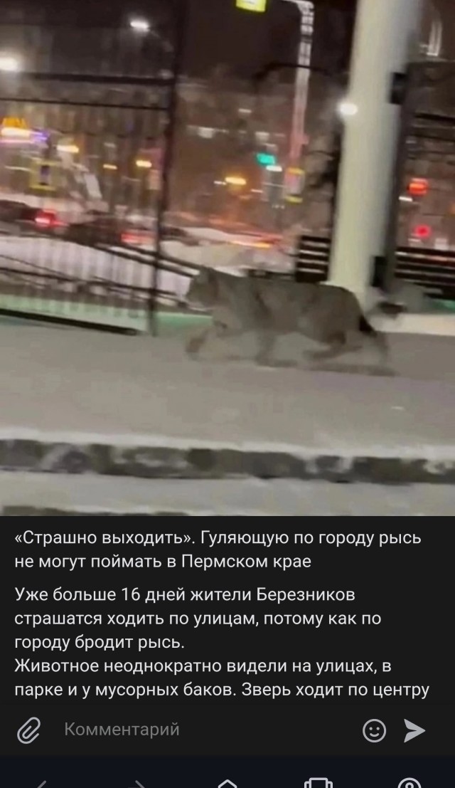 Сейчас брат прислал, он фермер в Тульской области. Снял возле деревни.